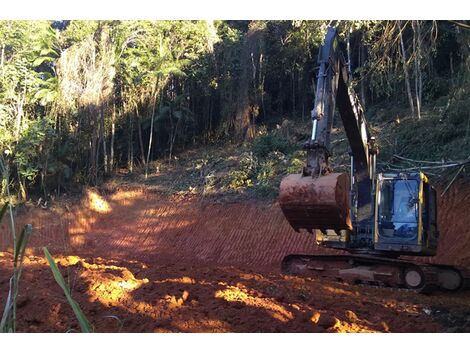 Preço de Aluguel de Escavadeira em Bocaiúva do Sul