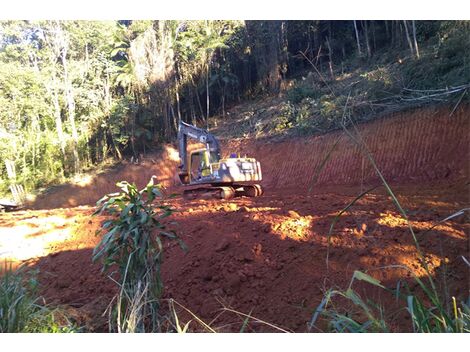 Alugar Escavadeira com Operador em Cerro Azul