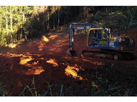 Aluguel de Escavadeira com Operador em Cerro Azul