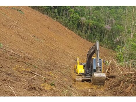 Aluguel de Escavadeira Hidráulica com Operador em Cerro Azul