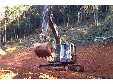 Escavadeira com Operador em Cerro Azul