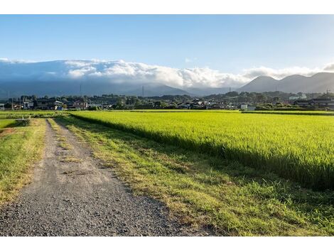 Preço de Reformas de Estradas Rurais em Adrianópolis