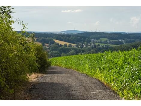 Reformas de Estradas Rurais em Adrianópolis