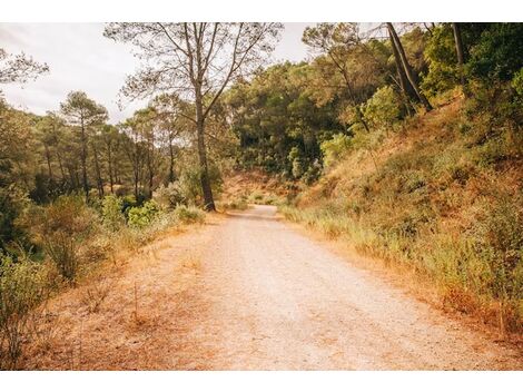 Contratar Construção de Estradas Rurais em São Lourenço da Serra